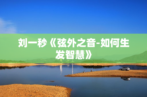 刘一秒《弦外之音-如何生发智慧》