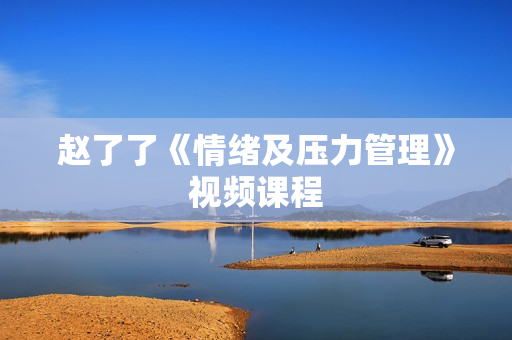 赵了了《情绪及压力管理》视频课程