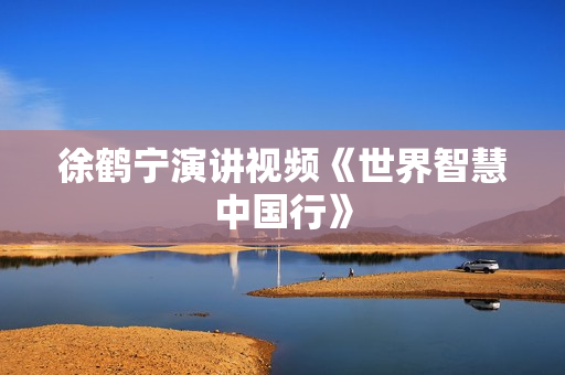 徐鹤宁演讲视频《世界智慧中国行》