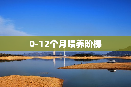 0-12个月喂养阶梯  第1张