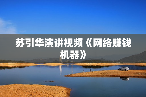 苏引华演讲视频《网络赚钱机器》