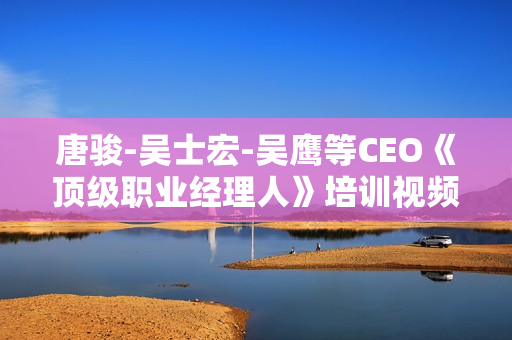 唐骏-吴士宏-吴鹰等CEO《顶级职业经理人》培训视频