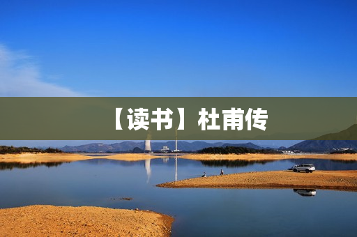 【读书】杜甫传