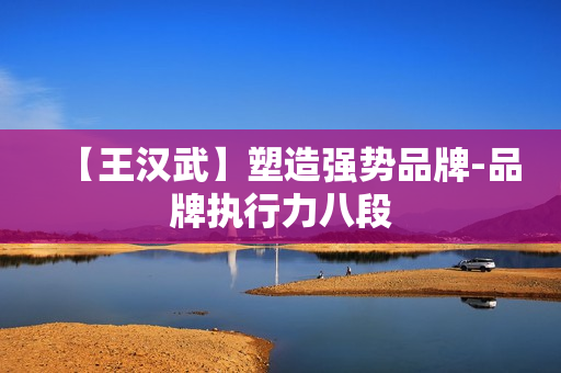 【王汉武】塑造强势品牌-品牌执行力八段