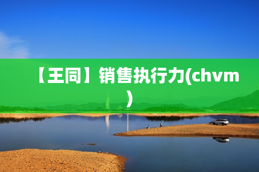 【王同】销售执行力(chvm)