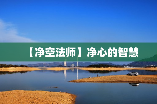 【净空法师】净心的智慧