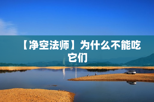 【净空法师】为什么不能吃它们