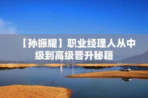 【孙振耀】职业经理人从中级到高级晋升秘籍