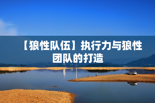 【狼性队伍】执行力与狼性团队的打造