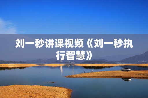 刘一秒讲课视频《刘一秒执行智慧》