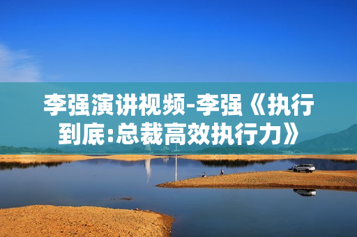 李强演讲视频-李强《执行到底:总裁高效执行力》