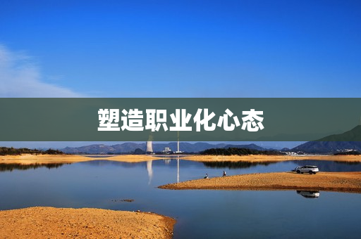 塑造职业化心态