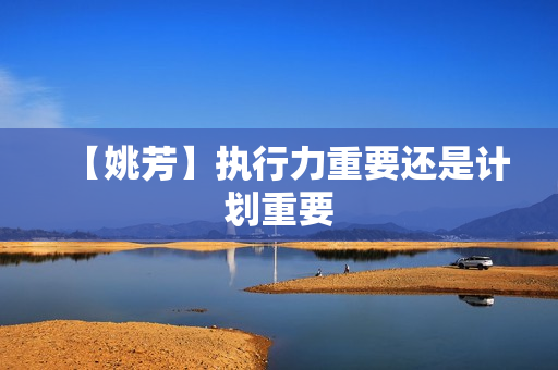 【姚芳】执行力重要还是计划重要