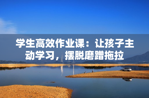 学生高效作业课：让孩子主动学习，摆脱磨蹭拖拉