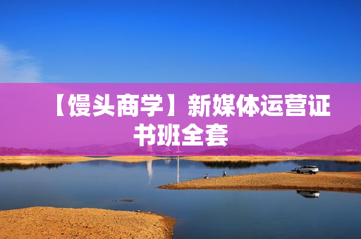 【馒头商学】新媒体运营证书班全套