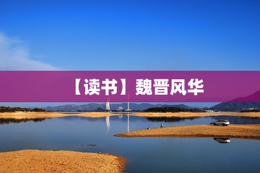 【读书】魏晋风华