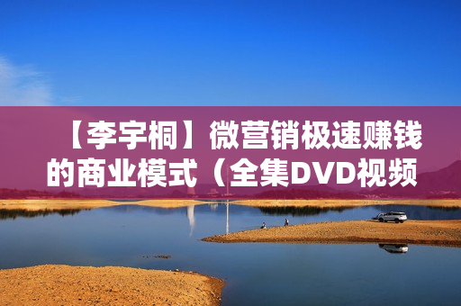 【李宇桐】微营销极速赚钱的商业模式（全集DVD视频）