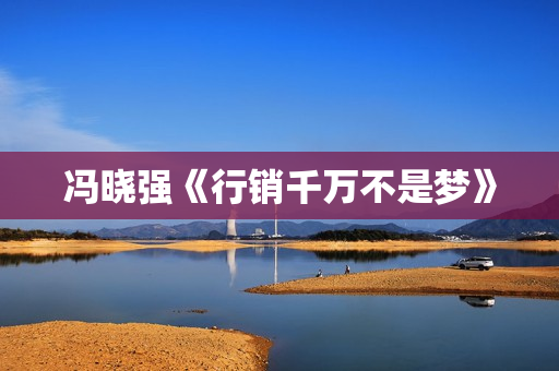 冯晓强《行销千万不是梦》