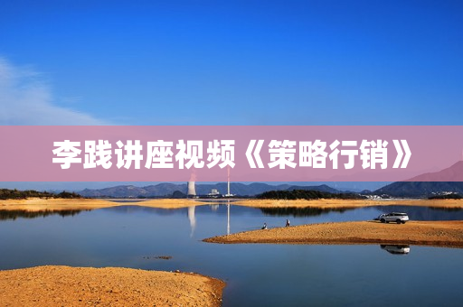 李践讲座视频《策略行销》