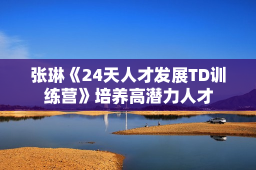 张琳《24天人才发展TD训练营》培养高潜力人才