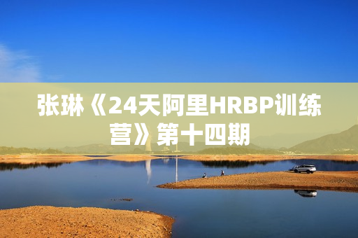 张琳《24天阿里HRBP训练营》第十四期