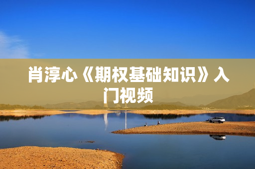 肖淳心《期权基础知识》入门视频