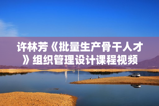 许林芳《批量生产骨干人才》组织管理设计课程视频