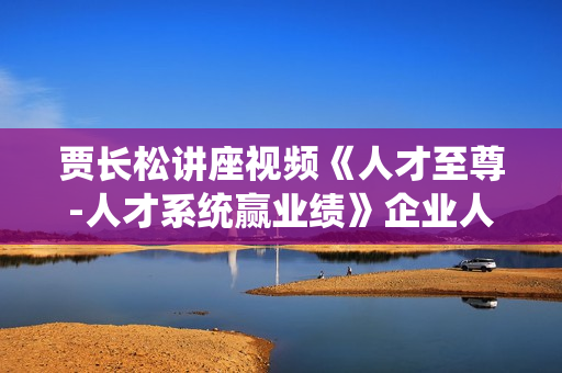 贾长松讲座视频《人才至尊-人才系统赢业绩》企业人才培养