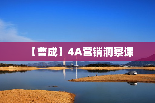【曹成】4A营销洞察课
