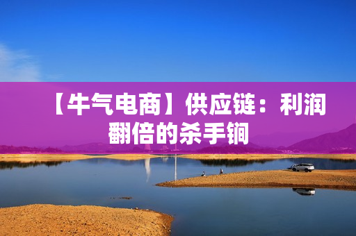 【牛气电商】供应链：利润翻倍的杀手锏
