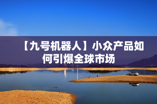 【九号机器人】小众产品如何引爆全球市场