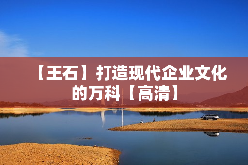 【王石】打造现代企业文化的万科【高清】