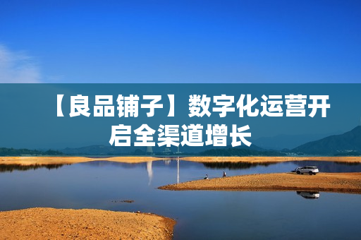 【良品铺子】数字化运营开启全渠道增长
