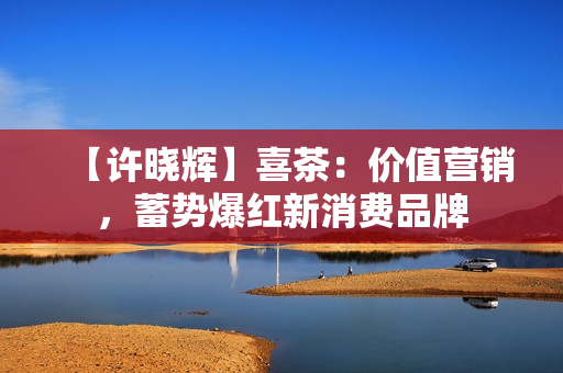 【许晓辉】喜茶：价值营销，蓄势爆红新消费品牌