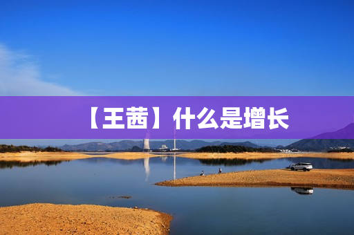 【王茜】什么是增长