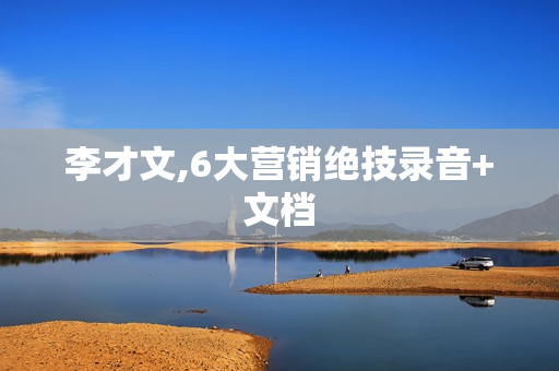 李才文,6大营销绝技录音+文档