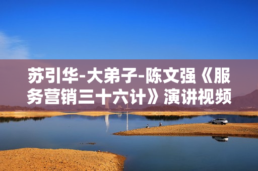 苏引华-大弟子-陈文强《服务营销三十六计》演讲视频