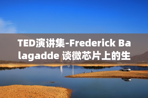 TED演讲集-Frederick Balagadde 谈微芯片上的生物实验室(xl)