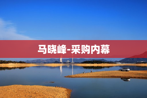 马晓峰-采购内幕