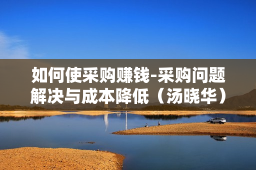 如何使采购赚钱-采购问题解决与成本降低（汤晓华）