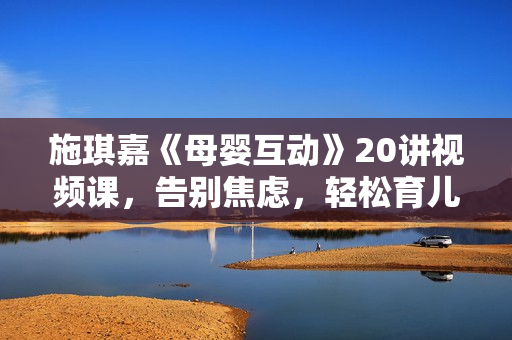 施琪嘉《母婴互动》20讲视频课，告别焦虑，轻松育儿