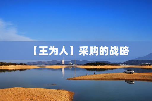 【王为人】采购的战略