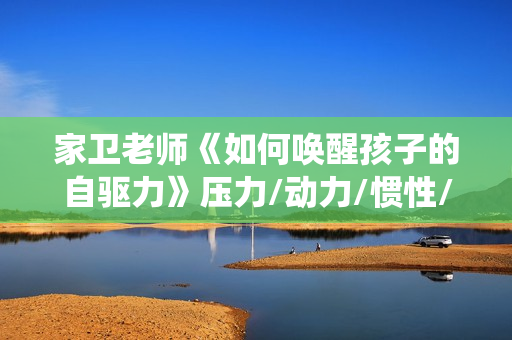家卫老师《如何唤醒孩子的自驱力》压力/动力/惯性/唤醒系统