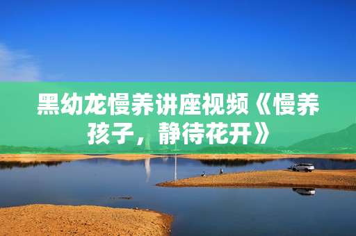 黑幼龙慢养讲座视频《慢养孩子，静待花开》