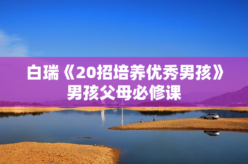 白瑞《20招培养优秀男孩》男孩父母必修课