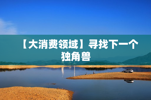 【大消费领域】寻找下一个独角兽
