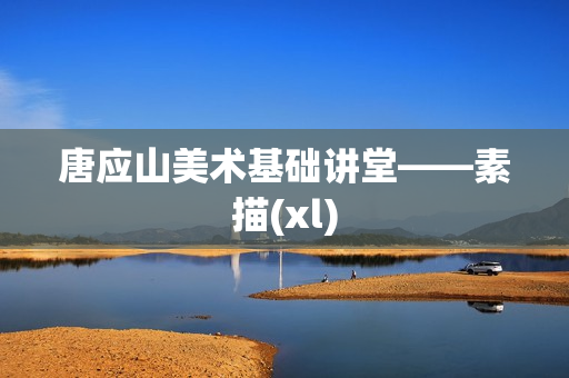 唐应山美术基础讲堂——素描(xl)