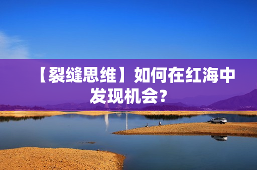 【裂缝思维】如何在红海中发现机会？