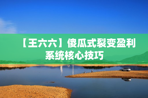 【王六六】傻瓜式裂变盈利系统核心技巧