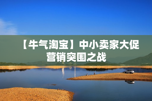【牛气淘宝】中小卖家大促营销突围之战